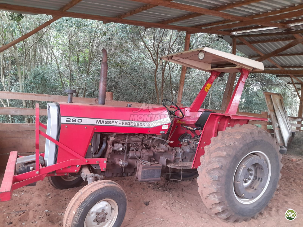 TRATOR MASSEY FERGUSON MF 290 Tração 4x2 Montano Máquinas Agrícolas LAGOA VERMELHA RIO GRANDE DO SUL RS